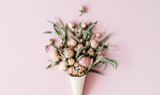 中国式插花通常采用什么固定花