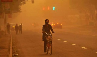 如何躲避沙尘暴（怎么躲沙尘暴）