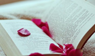 什么是红利再投资 什么叫红利再投资