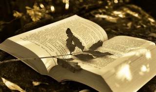 什么是被背书人（什么是被背书人呢）