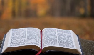 累计摊销是什么（累计摊销是什么意思）