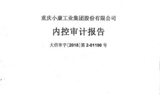 内控审计报告意见类型包括哪些（内控审计报告意见类型包括哪些方面）