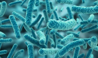 病毒的遗传物质是什么 烟草花叶病毒的遗传物质是什么