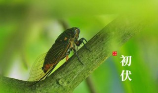 2021年入伏和出伏时间是什么（什么时候入伏2021年什么时候入伏）