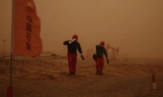 遇到沙尘暴的自救方法 遇到沙尘暴的自救方法英文