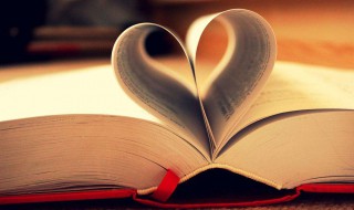 资产的构成内容是什么 资产的组成内容