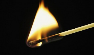 元素的化学性质由什么决定（元素的化学性质是由谁决定的）