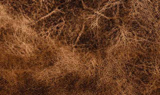 皮草是什么材质（仿水貂皮草是什么材质）