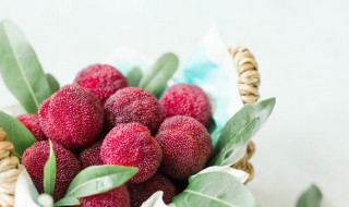 杨梅里的小白虫能吃吗 杨梅里的小白虫能吃吗丁香医生