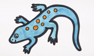 壁虎咬人吗有毒吗 壁虎咬人吗有毒吗