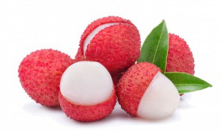 荔枝如何寄快递保持新鲜（荔枝如何寄快递保持新鲜度）