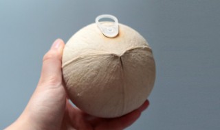 拉环椰子怎么打开窍门（拉环椰子如何打开小技巧）