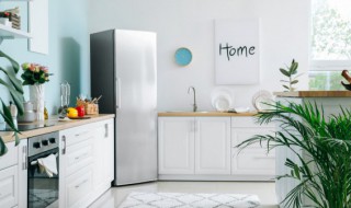 冰箱保护膜怎么撕干净小窍门 冰箱保护膜怎么撕干净小窍门视频