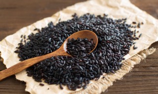 煮黑米易烂的窍门 煮黑米容易烂窍门