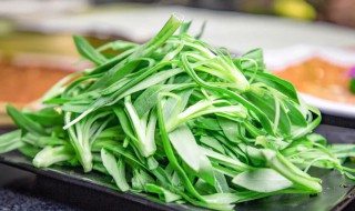 面条菜又叫什么名字 面条菜又叫什么名字好听