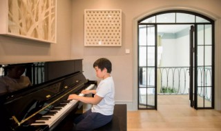 怎么让儿子成为钢琴大师（怎样成为钢琴演奏家）