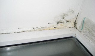 墙面发霉处理妙招有哪些（墙面发霉处理妙招有哪些视频）