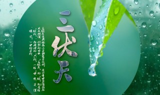 2021年头伏是哪天? 2021年头伏是哪天开始的