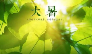 2021大暑是农历几月几日（2021大暑是几月几日到几月几日）