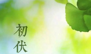 2021年初伏是哪一天 2021年初伏是哪一天开始