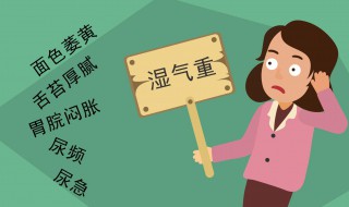 湿气是什么（湿气是什么病）