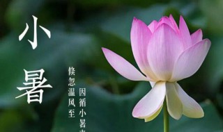 小暑是初伏吗（小暑是暑伏开始吗）