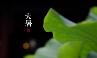 大暑要注意什么 大暑要注意什么?