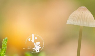 2021小暑是什么时间（2021年小暑是几点几分）