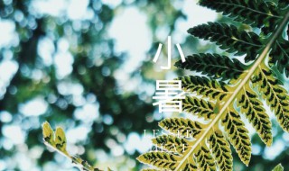 小暑是哪天2021（小暑是哪天2022）