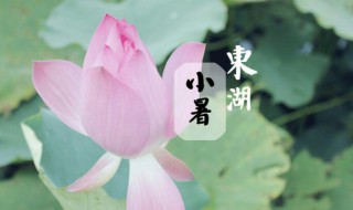 2021年小暑时间是几月几号（2021年小暑是几月几日日几点）