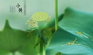 2021小暑节气的禁忌 小暑节气有什么禁忌