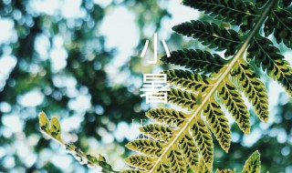 小暑可以做什么运动 小暑时做什么运动