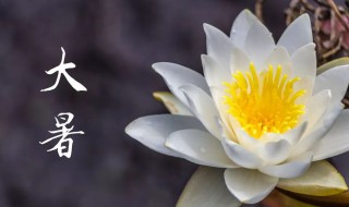大暑是什么时候2021年（2021年大暑具体时间）