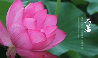 2021年大暑是几月几日 2021年大暑是几月几日?