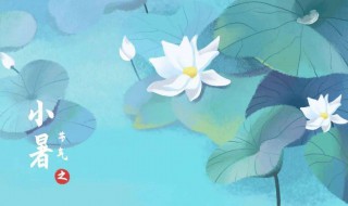 2021小暑节气的含义是什么意思（2021年处暑节气是什么时候）