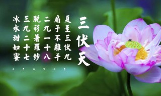 初伏热还是中伏热 中伏热还是末伏热