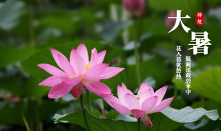 大暑是什么季节的节气（大暑是哪个季节的节气）