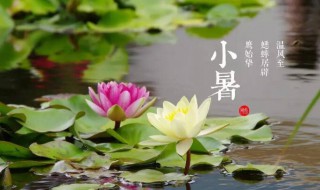 2021小暑大暑是什么时间 2021小暑大暑是什么时间开始