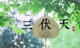 2021年初伏是几月几日（2021年初伏是几月几日开始）