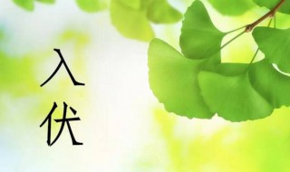 2021哪天入伏哪天出伏 2021年哪天入伏哪天入伏