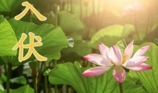 入伏时间2021 入伏时间2020