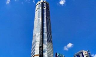 赛格大厦什么时候建的 赛格大厦什么时候完工的