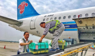 飞机托运怎么办理 飞机托运怎么办理流程