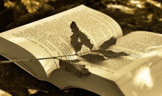 赞美对方时的注意事项 赞美对方时的注意事项的句子