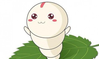 怎么养蚕宝宝才不会死? 蚕宝宝会不会死