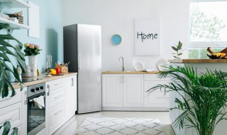 冰柜如何清洗（冰柜如何清洗散热器）