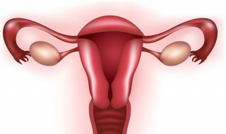 排卵期是什么（排卵期是什么样的分泌物）