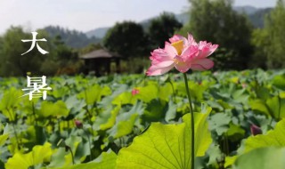 2021年大暑民间活动（2021年大暑时节）