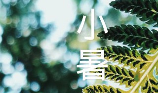 小暑农事歌 小暑的农事安排