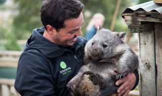 动物园野生动物咬死人怎么赔（野生动物园 咬人）